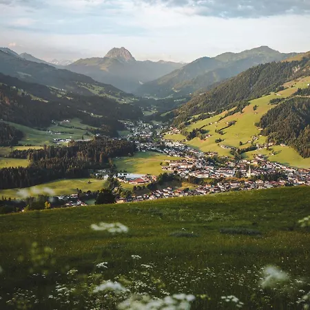 Erwin-1 By Interhome Apartment Kirchberg in Tirol