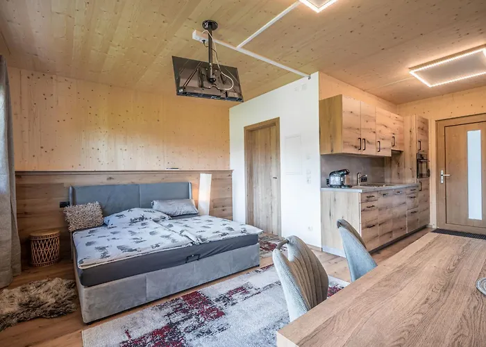 Erwin-1 By Interhome