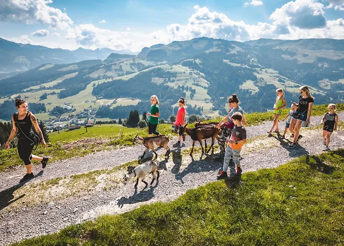 Erwin-1 By Interhome * Kirchberg in Tirol