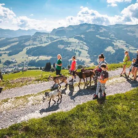 Erwin-1 By Interhome * Kirchberg en Tyrol