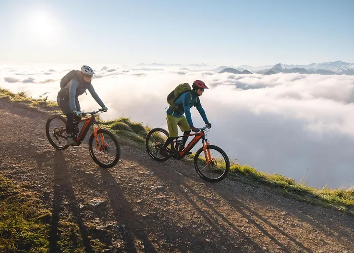 Erwin-1 By Interhome *