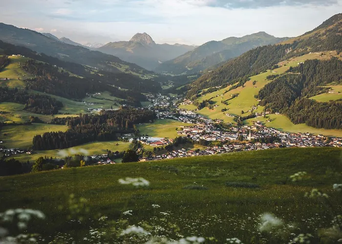 Erwin-1 By Interhome Appartement Kirchberg en Tyrol