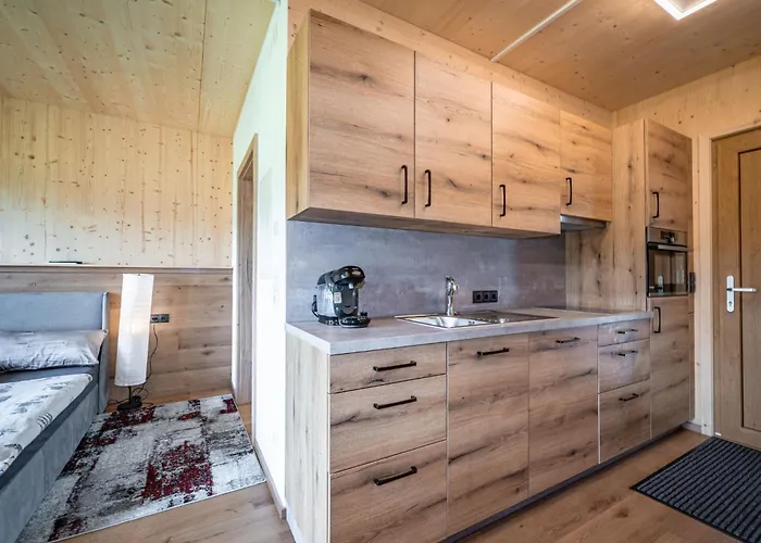 Erwin-1 By Interhome